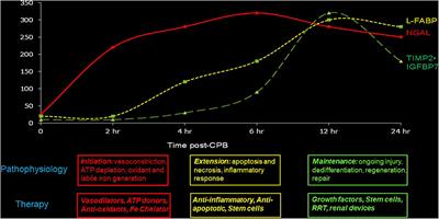 The Current State of the Art in Acute Kidney Injury